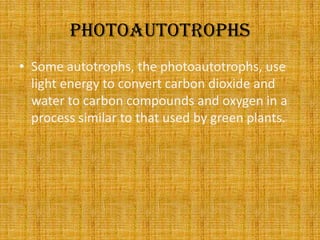 photoautotrophsSome autotrophs, the photoautotrophs, use light energy to convert carbon dioxide and water to carbon compounds and oxygen in a process similar to that used by green plants.