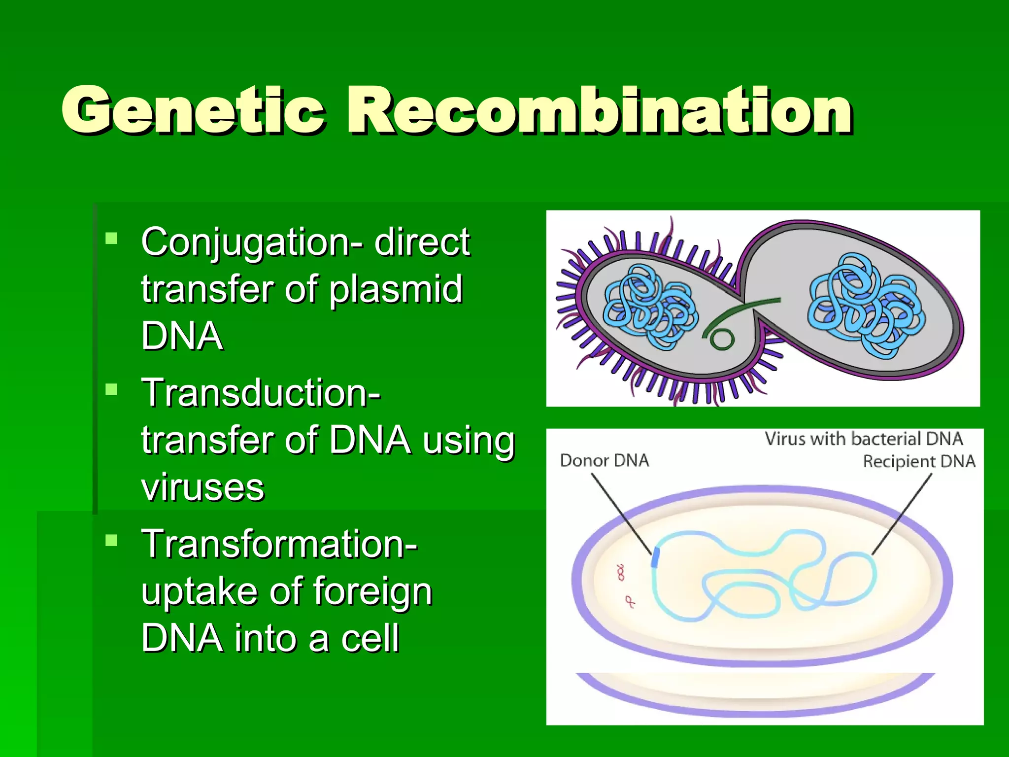 Genetic Recombination Conjugation- direct transfer of plasmid DNA Transduction- transfer of DNA using viruses Transformation- uptake of foreign DNA into a cell 