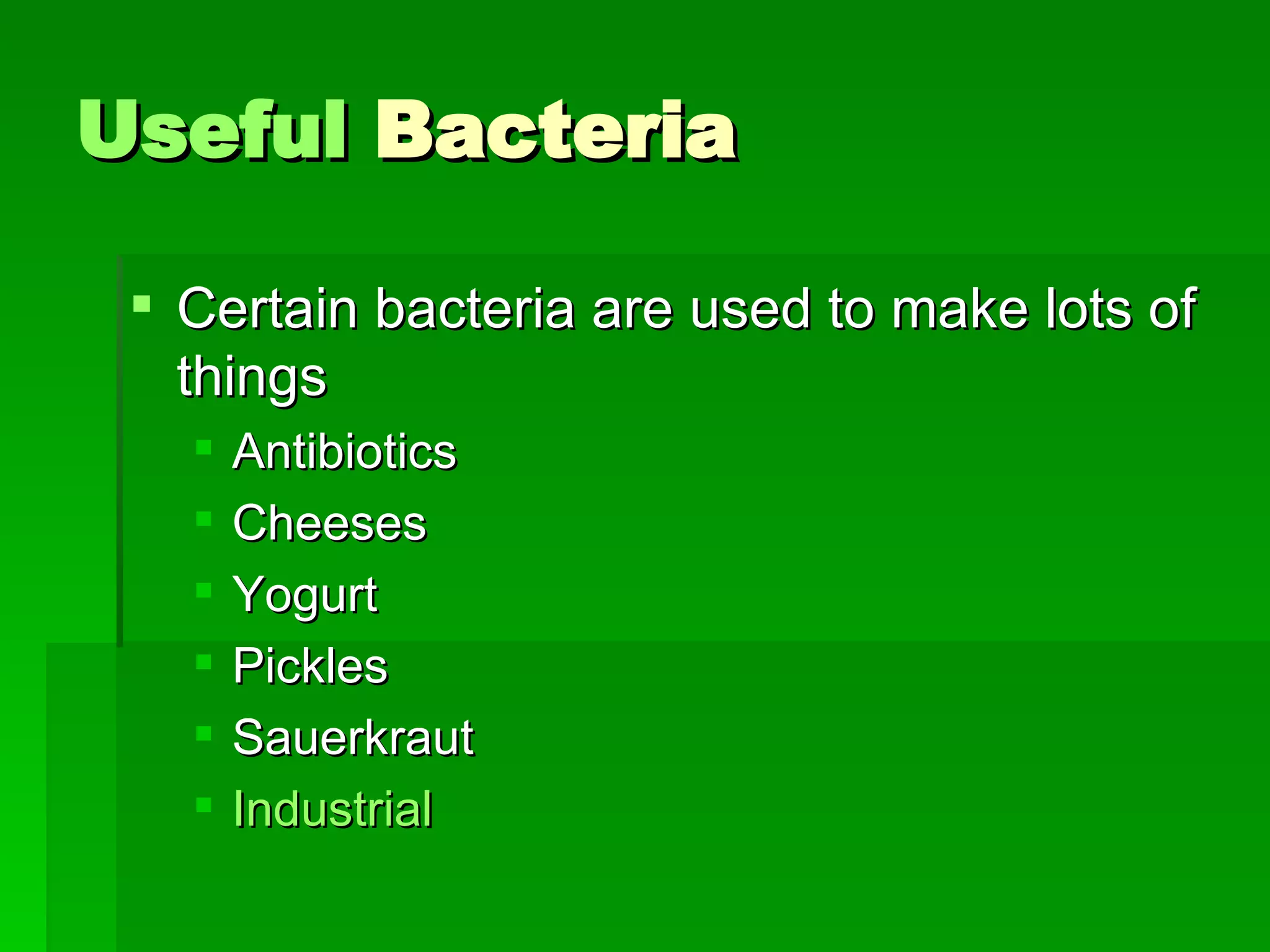Useful  Bacteria Certain bacteria are used to make lots of things Antibiotics Cheeses Yogurt Pickles Sauerkraut Industrial 
