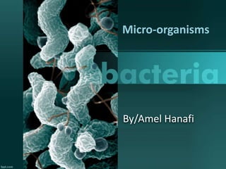 By/Amel Hanafi
Micro-organisms
 