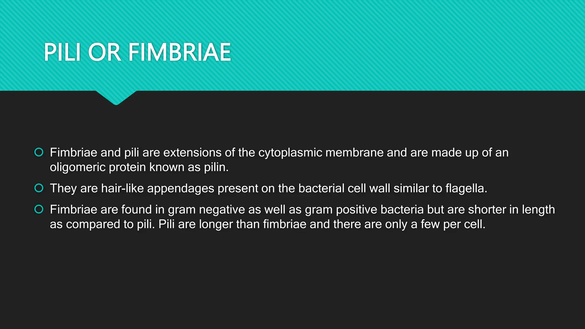 PILI OR FIMBRIAE
 Fimbriae and pili are extensions of the cytoplasmic membrane and are made up of an
oligomeric protein known as pilin.
 They are hair-like appendages present on the bacterial cell wall similar to flagella.
 Fimbriae are found in gram negative as well as gram positive bacteria but are shorter in length
as compared to pili. Pili are longer than fimbriae and there are only a few per cell.
 