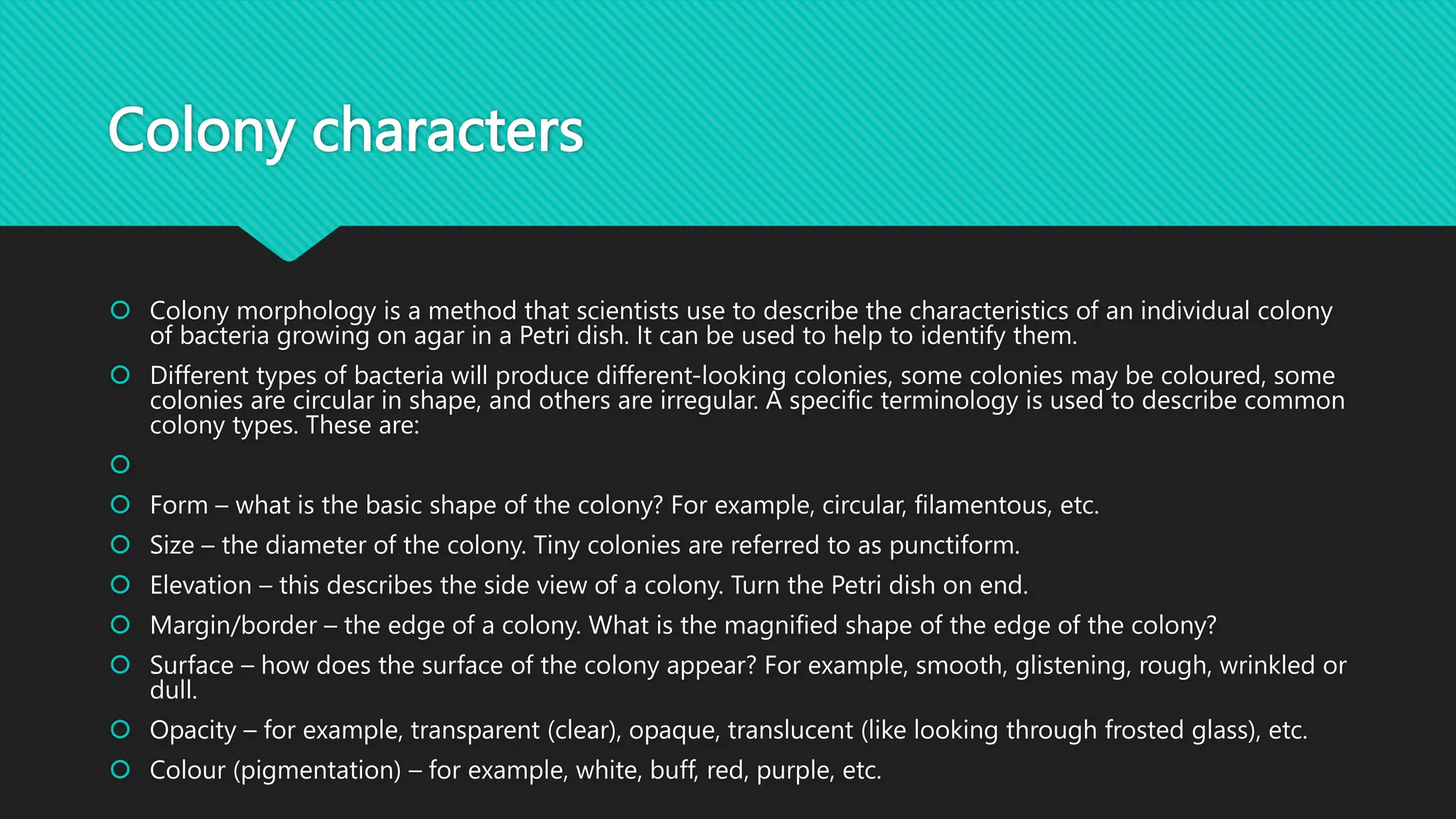 Colony characters
 Colony morphology is a method that scientists use to describe the characteristics of an individual colony
of bacteria growing on agar in a Petri dish. It can be used to help to identify them.
 Different types of bacteria will produce different-looking colonies, some colonies may be coloured, some
colonies are circular in shape, and others are irregular. A specific terminology is used to describe common
colony types. These are:

 Form – what is the basic shape of the colony? For example, circular, filamentous, etc.
 Size – the diameter of the colony. Tiny colonies are referred to as punctiform.
 Elevation – this describes the side view of a colony. Turn the Petri dish on end.
 Margin/border – the edge of a colony. What is the magnified shape of the edge of the colony?
 Surface – how does the surface of the colony appear? For example, smooth, glistening, rough, wrinkled or
dull.
 Opacity – for example, transparent (clear), opaque, translucent (like looking through frosted glass), etc.
 Colour (pigmentation) – for example, white, buff, red, purple, etc.
 