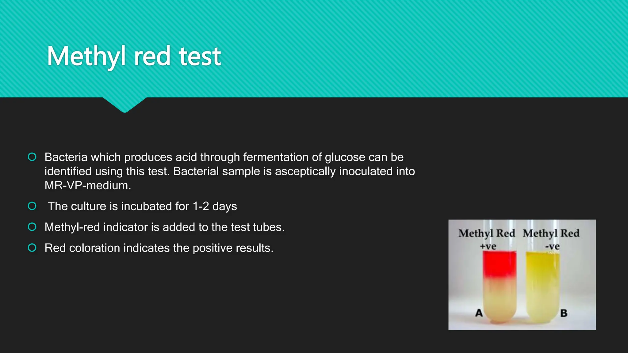 Methyl red test
 Bacteria which produces acid through fermentation of glucose can be
identified using this test. Bacterial sample is asceptically inoculated into
MR-VP-medium.
 The culture is incubated for 1-2 days
 Methyl-red indicator is added to the test tubes.
 Red coloration indicates the positive results.
 