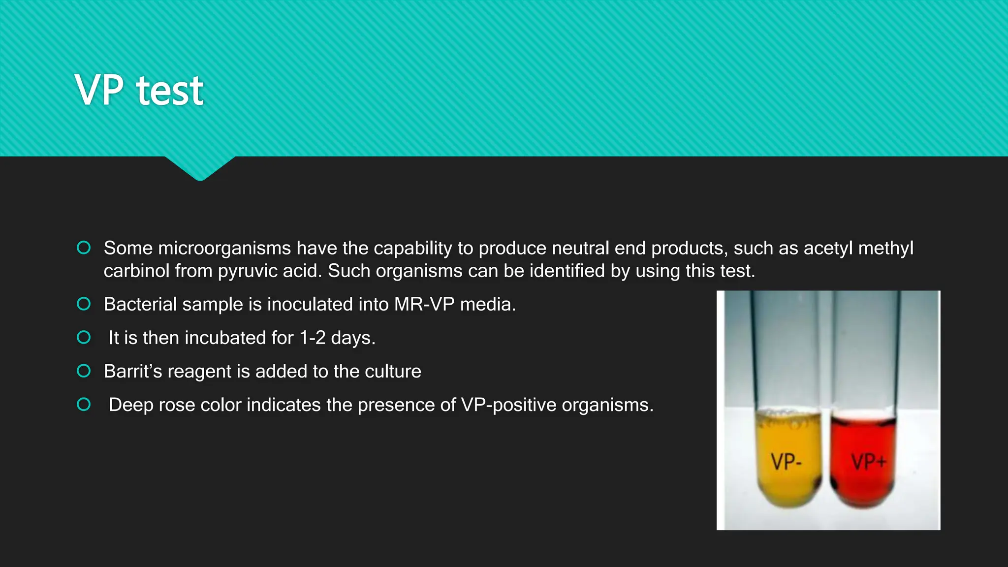 VP test
 Some microorganisms have the capability to produce neutral end products, such as acetyl methyl
carbinol from pyruvic acid. Such organisms can be identified by using this test.
 Bacterial sample is inoculated into MR-VP media.
 It is then incubated for 1-2 days.
 Barrit’s reagent is added to the culture
 Deep rose color indicates the presence of VP-positive organisms.
 