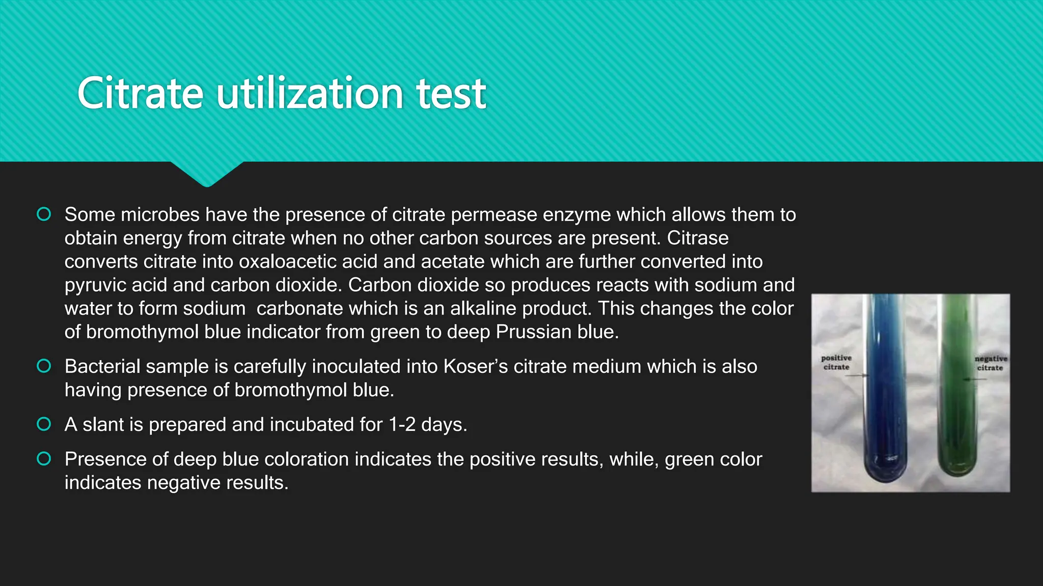 Citrate utilization test
 Some microbes have the presence of citrate permease enzyme which allows them to
obtain energy from citrate when no other carbon sources are present. Citrase
converts citrate into oxaloacetic acid and acetate which are further converted into
pyruvic acid and carbon dioxide. Carbon dioxide so produces reacts with sodium and
water to form sodium carbonate which is an alkaline product. This changes the color
of bromothymol blue indicator from green to deep Prussian blue.
 Bacterial sample is carefully inoculated into Koser’s citrate medium which is also
having presence of bromothymol blue.
 A slant is prepared and incubated for 1-2 days.
 Presence of deep blue coloration indicates the positive results, while, green color
indicates negative results.
 
