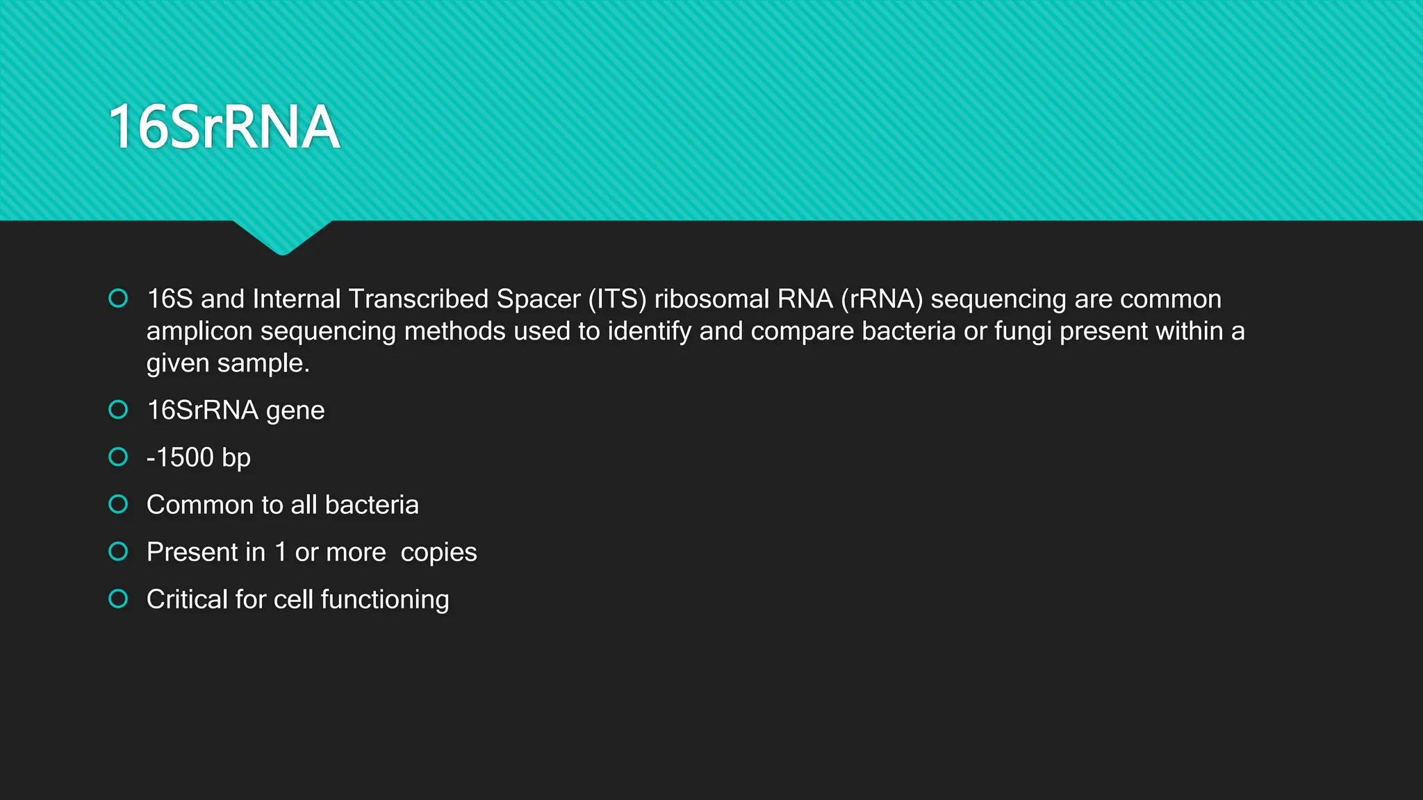 16SrRNA
 16S and Internal Transcribed Spacer (ITS) ribosomal RNA (rRNA) sequencing are common
amplicon sequencing methods used to identify and compare bacteria or fungi present within a
given sample.
 16SrRNA gene
 -1500 bp
 Common to all bacteria
 Present in 1 or more copies
 Critical for cell functioning
 