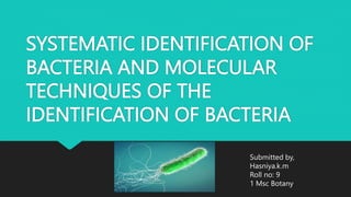 SYSTEMATIC IDENTIFICATION OF
BACTERIA AND MOLECULAR
TECHNIQUES OF THE
IDENTIFICATION OF BACTERIA
Submitted by,
Hasniya.k.m
Roll no: 9
1 Msc Botany
 