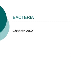 1
BACTERIA
Chapter 20.2
 