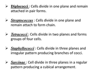  Diplococci : Cells divide in one plane and remain
attached in pair forms.
 Streptococcus : Cells divide in one plane and
remain attach to form chain.
 Tetracocci : Cells divide in two planes and forms
groups of four cells.
 Staphyllococci : Cells divide in three planes and
irregular pattern producing branches of cocci.
 Sarcinae : Cell divide in three planes in a regular
pattern producing a cubical arrangement.
 