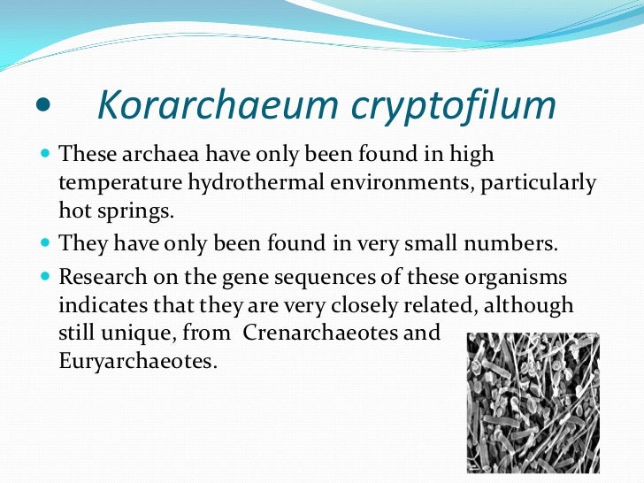 Bacteria And Archaea Example Organisms