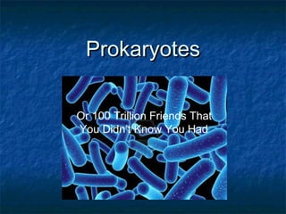 ProkaryotesProkaryotes
Or 100 Trillion Friends That
You Didn’t Know You Had
 