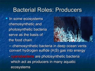 Bacterial Roles: ProducersBacterial Roles: Producers
 In some ecosystemsIn some ecosystems
chemosynthetic andchemosynthetic and
photosynthetic bacteriaphotosynthetic bacteria
serve as the basis ofserve as the basis of
the food chainthe food chain
–– chemosynthetic bacteria in deep ocean ventschemosynthetic bacteria in deep ocean vents
convert hydrogen sulfide (Hconvert hydrogen sulfide (H22S) gas into energyS) gas into energy
-- cyanobacteriacyanobacteria are photosynthetic bacteriaare photosynthetic bacteria
which act as producers in many aquaticwhich act as producers in many aquatic
ecosystemsecosystems
 