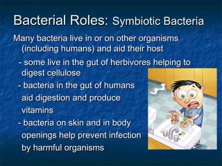 Bacterial Roles:Bacterial Roles: Symbiotic BacteriaSymbiotic Bacteria
Many bacteria live in or on other organismsMany bacteria live in or on other organisms
(including humans) and aid their host(including humans) and aid their host
- some live in the gut of herbivores helping to- some live in the gut of herbivores helping to
digest cellulosedigest cellulose
- bacteria in the gut of humans- bacteria in the gut of humans
aid digestion and produceaid digestion and produce
vitaminsvitamins
- bacteria on skin and in body- bacteria on skin and in body
openings help prevent infectionopenings help prevent infection
by harmful organismsby harmful organisms
 
