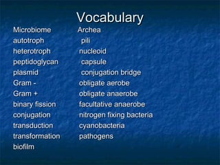 VocabularyVocabulary
Microbiome ArcheaMicrobiome Archea
autotrophautotroph pilipili
heterotrophheterotroph nucleoidnucleoid
peptidoglycanpeptidoglycan capsulecapsule
plasmidplasmid conjugation bridgeconjugation bridge
Gram -Gram - obligate aerobeobligate aerobe
Gram +Gram + obligate anaerobeobligate anaerobe
binary fissionbinary fission facultative anaerobefacultative anaerobe
conjugationconjugation nitrogen fixing bacterianitrogen fixing bacteria
transductiontransduction cyanobacteriacyanobacteria
transformationtransformation pathogenspathogens
biofilmbiofilm
 