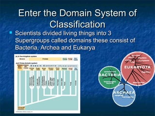 Enter the Domain System ofEnter the Domain System of
ClassificationClassification
 Scientists divided living things into 3Scientists divided living things into 3
Supergroups called domains these consist ofSupergroups called domains these consist of
Bacteria, Archea and EukaryaBacteria, Archea and Eukarya
 