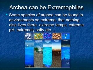 Archea can be ExtremophilesArchea can be Extremophiles
 Some species of archea can be found inSome species of archea can be found in
environments so extreme, that nothingenvironments so extreme, that nothing
else lives there- extreme temps, extremeelse lives there- extreme temps, extreme
pH, extremely salty etc…pH, extremely salty etc…
 