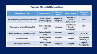 Comprehensive Overview of Bacteria and Archaea: Structure ...