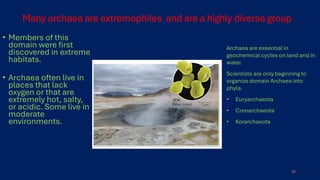 Comprehensive Overview of Bacteria and Archaea: Structure ...