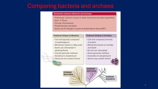Comprehensive Overview of Bacteria and Archaea: Structure ...
