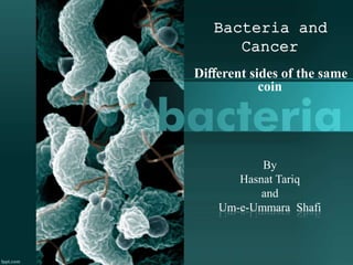 By
Hasnat Tariq
and
Um-e-Ummara Shafi
Bacteria and
Cancer
Diﬀerent sides of the same
coin
 