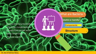 Structure .
Useful or harmful
Components .
What are Bacteria ?
Bacteria are among the smallest
living things. A single bacterium
consists of just one cell, and is
called a single-celled, or
unicellular organism.
Mr. Abd Al-Rahman Marey
 