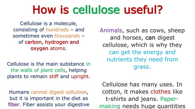 Bacteria and cellulose | PPT