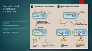 Transduction Types Bacteria and cyanobacteria | PPTX