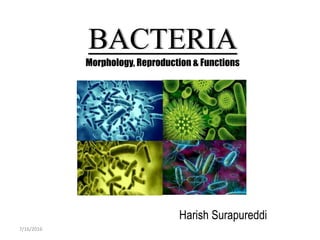 BACTERIA
Morphology, Reproduction & Functions
Harish Surapureddi
7/16/2016
 