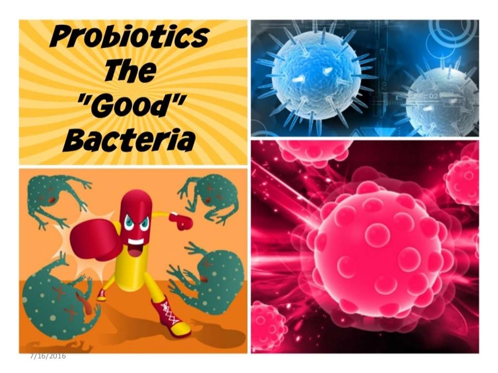Bacteria-Morphology, Reproduction and Functions