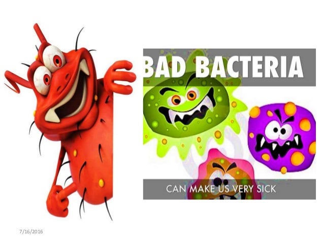 Bacteria-Morphology, Reproduction and Functions