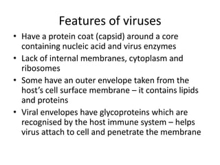 Features of virusesHave a protein coat (capsid) around a core containing nucleic acid and virus enzymesLack of internal membranes, cytoplasm and ribosomesSome have an outer envelope taken from the host’s cell surface membrane – it contains lipids and proteinsViral envelopes have glycoproteins which are recognised by the host immune system – helps virus attach to cell and penetrate the membrane