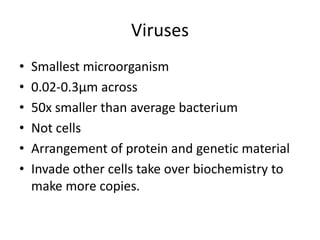VirusesSmallest microorganism0.02-0.3µm across50x smaller than average bacteriumNot cellsArrangement of protein and genetic materialInvade other cells take over biochemistry to make more copies.