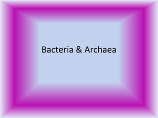 Bacteria & Archaea
 