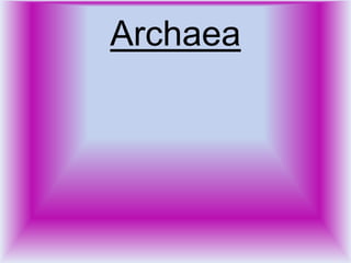 Bacteria & archaea example organisms power point | PPTX