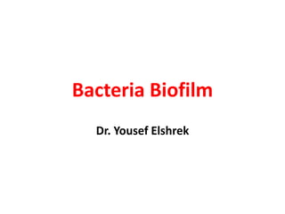Bacteria Biofilm
  Dr. Yousef Elshrek
 
