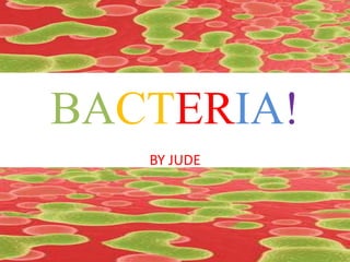 BACTERIA!
   BY JUDE
 