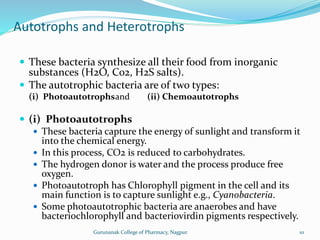 Autotrophs and Heterotrophs
 These bacteria synthesize all their food from inorganic
substances (H2O, C02, H2S salts).
 The autotrophic bacteria are of two types:
(i) Photoautotrophsand (ii) Chemoautotrophs
 (i) Photoautotrophs
 These bacteria capture the energy of sunlight and transform it
into the chemical energy.
 In this process, CO2 is reduced to carbohydrates.
 The hydrogen donor is water and the process produce free
oxygen.
 Photoautotroph has Chlorophyll pigment in the cell and its
main function is to capture sunlight e.g., Cyanobacteria.
 Some photoautotrophic bacteria are anaerobes and have
bacteriochlorophyll and bacteriovirdin pigments respectively.
10
Gurunanak College of Pharmacy, Nagpur
 