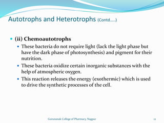 Autotrophs and Heterotrophs (Contd…..)
 (ii) Chemoautotrophs
 These bacteria do not require light (lack the light phase but
have the dark phase of photosynthesis) and pigment for their
nutrition.
 These bacteria oxidize certain inorganic substances with the
help of atmospheric oxygen.
 This reaction releases the energy (exothermic) which is used
to drive the synthetic processes of the cell.
12
Gurunanak College of Pharmacy, Nagpur
 