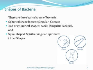 Shapes of Bacteria
There are three basic shapes of bacteria
 Spherical shaped: cocci (Singular: Coccus)
 Rod or cylindrical shaped: bacilli (Singular: Bacillus),
and
 Spiral shaped: Spirilla (Singular: spirillum)
Other Shapes:
6
Gurunanak College of Pharmacy, Nagpur
 