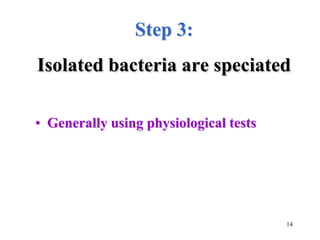 14
Step 3:
Isolated bacteria are speciated
• Generally using physiological tests
 