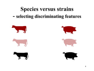 4
Species versus strains
- selecting discriminating features
 