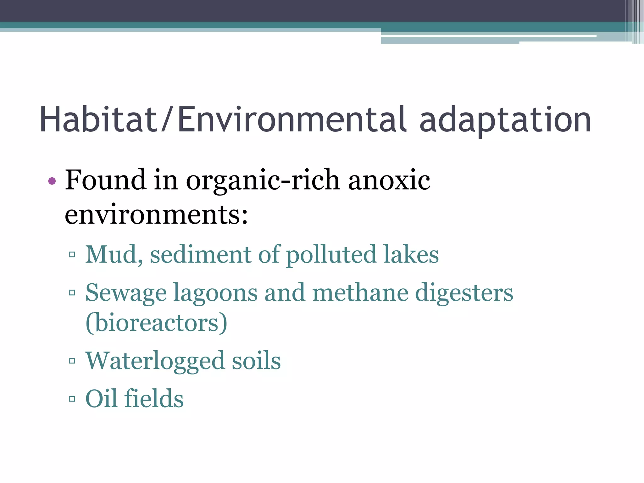 Bacteria Diversity Desulfovibrio PPTX Chemistry Science