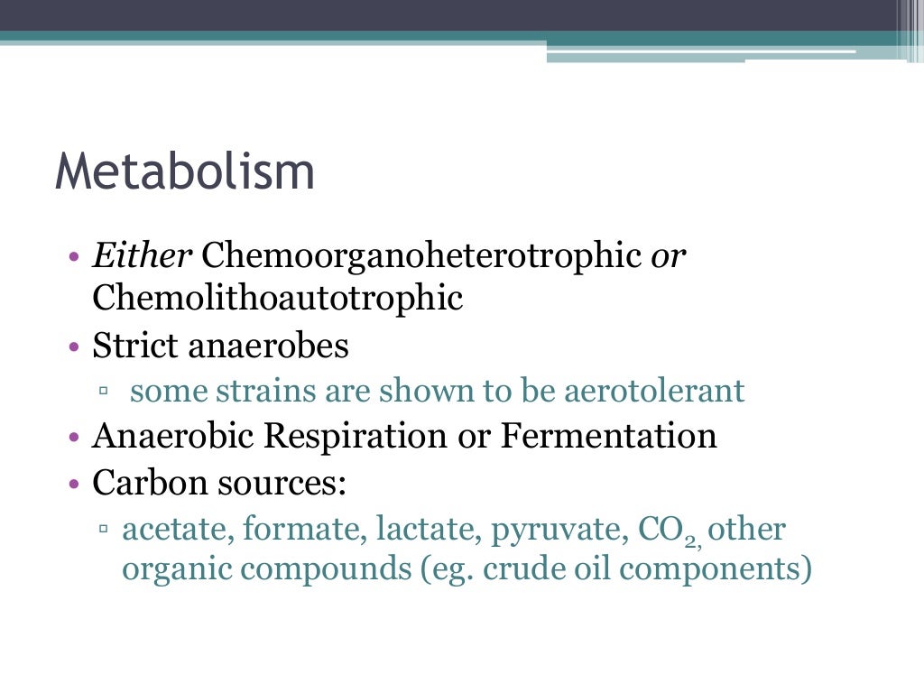 Bacteria diversity desulfovibrio