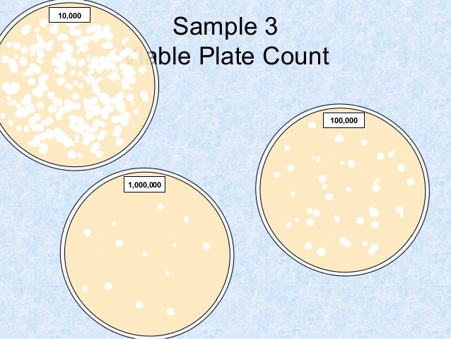 how to count the number of colonies of bacteria how to count the number of colonies of bacteria