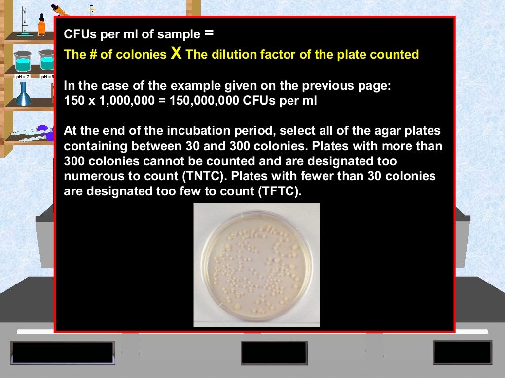 Bacteria enumeration