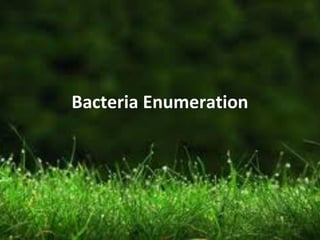 Bacteria Enumeration
 