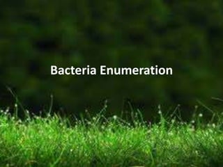 Bacteria Enumeration
 