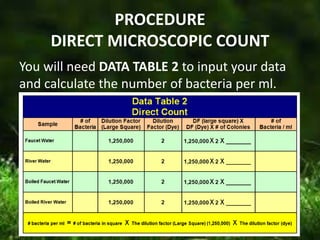 PROCEDURE
DIRECT MICROSCOPIC COUNT
You will need DATA TABLE 2 to input your data
and calculate the number of bacteria per ml.
 