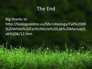 The End
Big thanks to
http://biologyonline.us/Microbiology/Fall%2008
%20White%20Earth/Micro%20Lab%20Manual/L
ab%206/12.htm
 