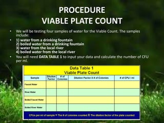 PROCEDURE
VIABLE PLATE COUNT
• We will be testing four samples of water for the Viable Count. The samples
include:
• 1) water from a drinking fountain
2) boiled water from a drinking fountain
3) water from the local river
4) boiled water from the local river
• You will need DATA TABLE 1 to input your data and calculate the number of CFU
per ml.
 